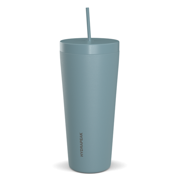 Traveler 25 oz Insulated Tumbler with Lid and Straw