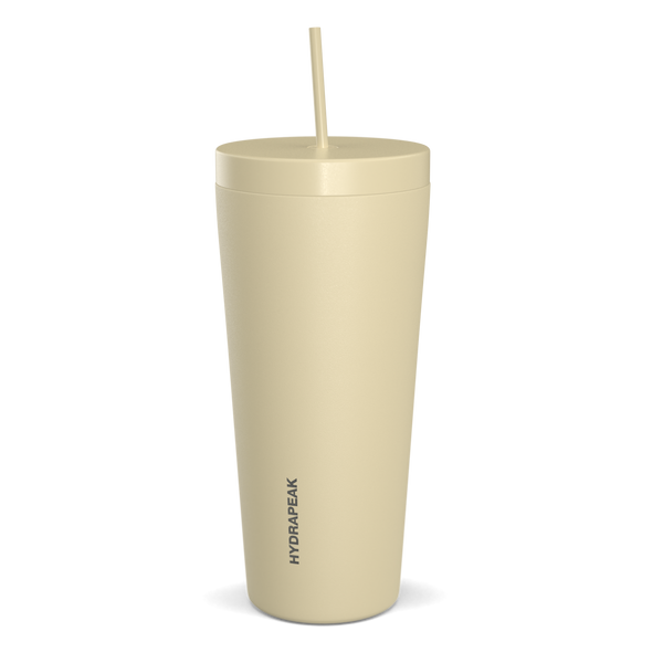 Traveler 25 oz Insulated Tumbler with Lid and Straw