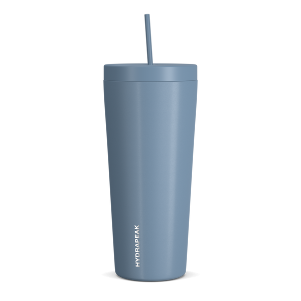 Traveler 25 oz Insulated Tumbler with Lid and Straw