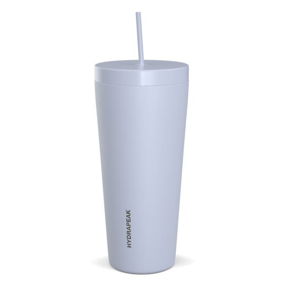 Traveler 25 oz Insulated Tumbler with Lid and Straw