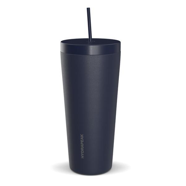 Traveler 25 oz Insulated Tumbler with Lid and Straw