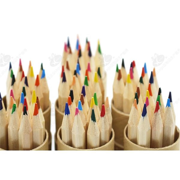 12 Colored Pencils in Sustainable Paper Tube