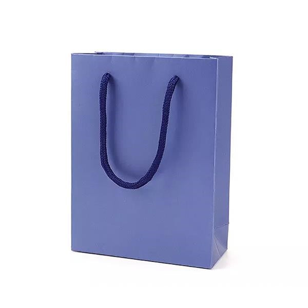 Portable Gift Paper Bag