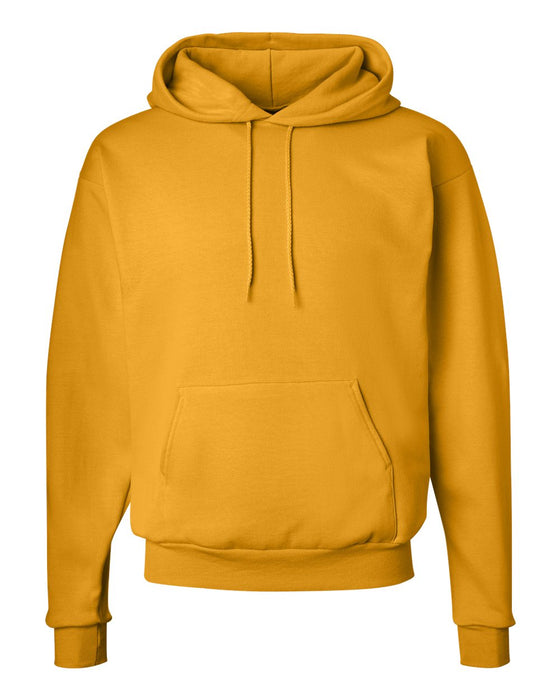 Hanes Ecosmart® Hooded Sweatshirt