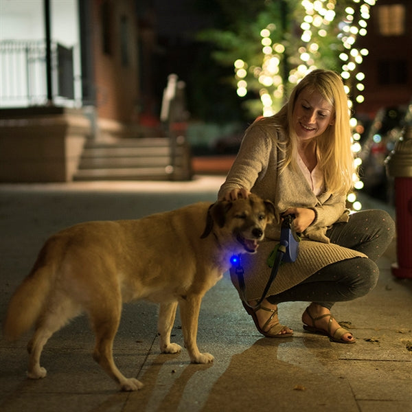 Pet Safety Light