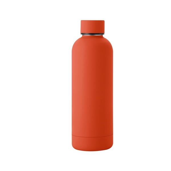 Colorful Stainless Steel Bottle - 17oz