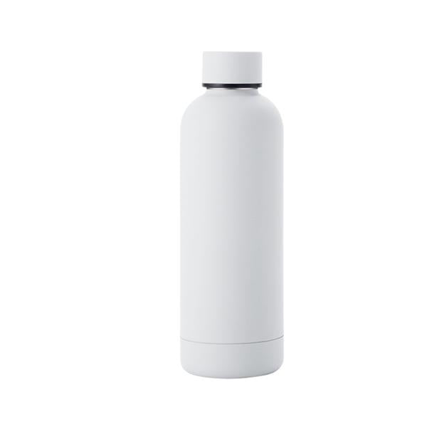 Colorful Stainless Steel Bottle - 17oz