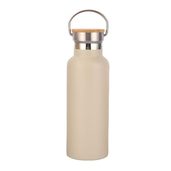 Stainless Steel Sport Bottle with Lid Handle - 20oz