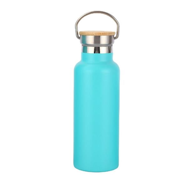 Stainless Steel Sport Bottle with Lid Handle - 20oz