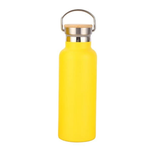 Stainless Steel Sport Bottle with Lid Handle - 20oz