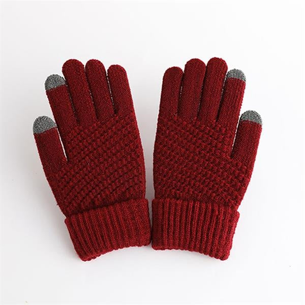 Winter Touchscreen Glove