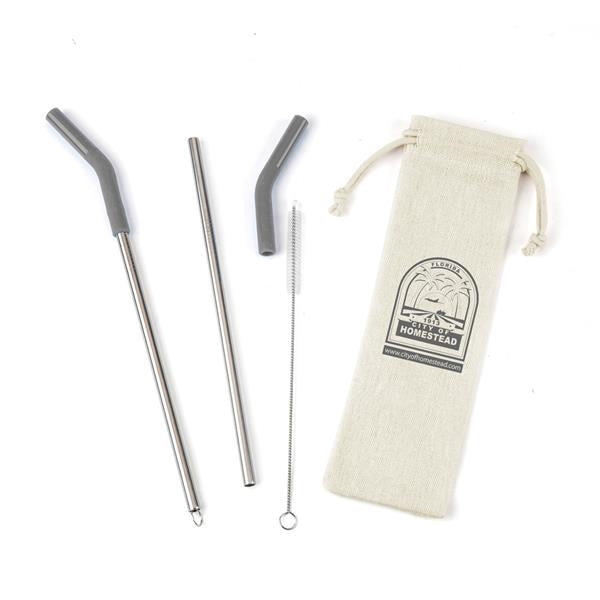 Reusable Stainless Steel Two Straw Set