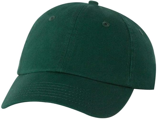 Valucap Adult Bio-Washed Classic Dad Hat