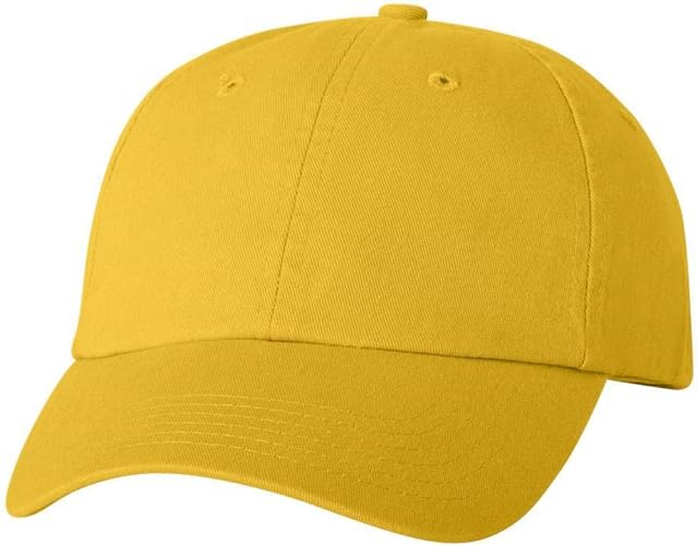 Valucap Adult Bio-Washed Classic Dad Hat